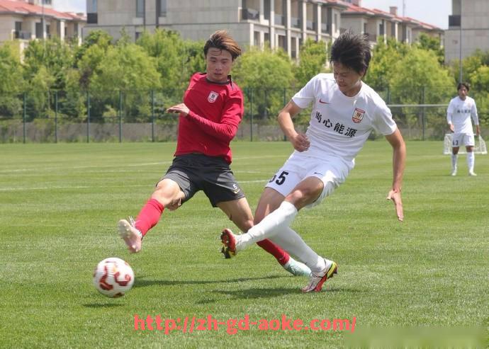 澳客足彩-火箭队最后阶段赛程安排及对季后赛席位的影响